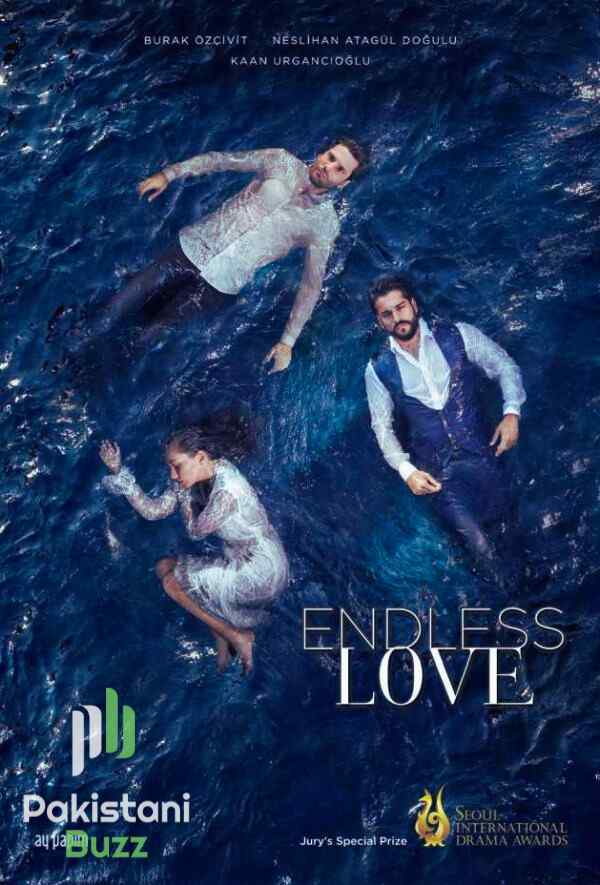 top ten turkish series - Endless Love